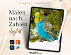 Budgie - Feathered Elegance