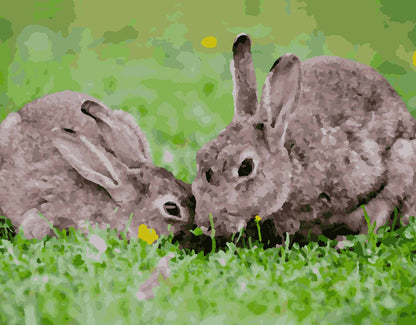 Digital painting by numbers, animals, rabbits