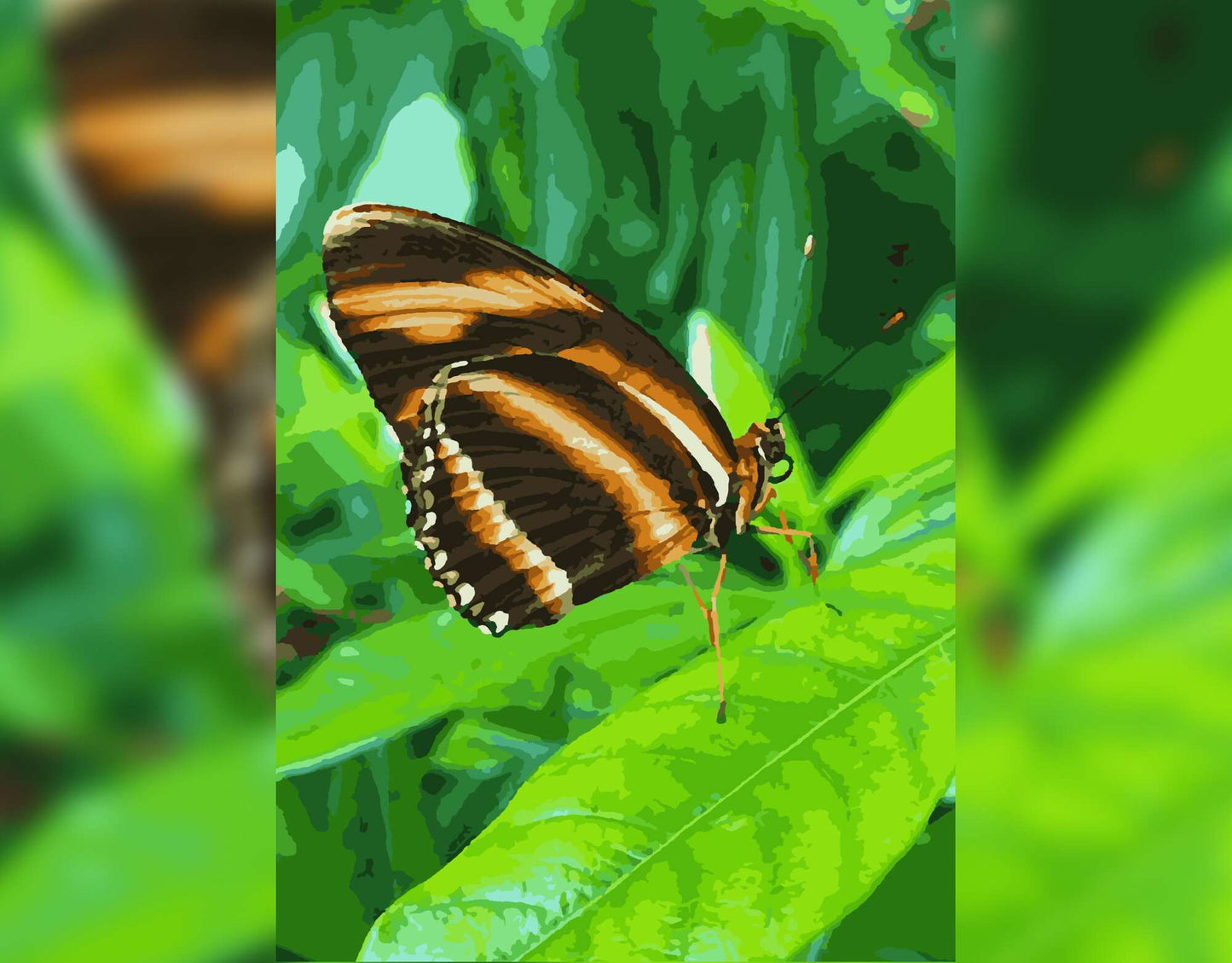 Painting by numbers digital, animals, butterfly