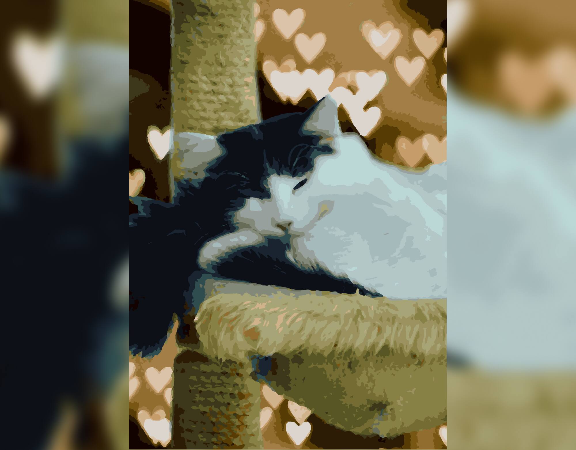 Cat Break on the Scratching Post