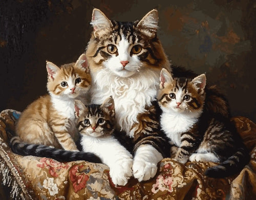 Samtpfoten – ein Portrait in Wärme