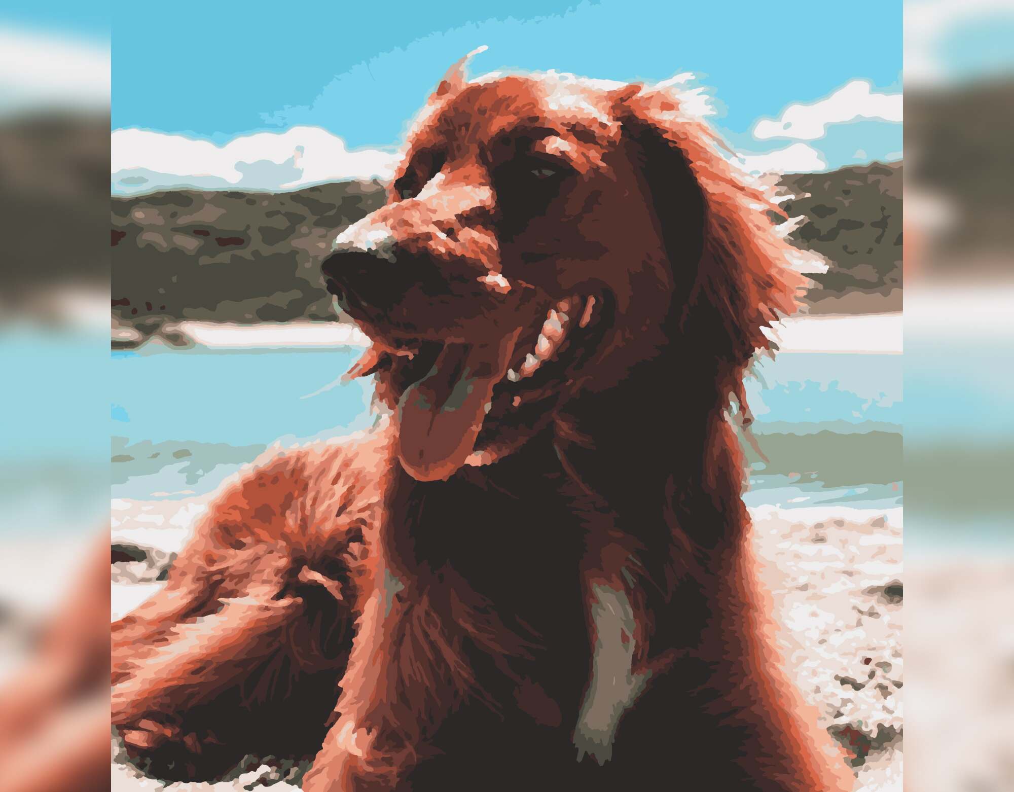 Elegant Gordon Setter