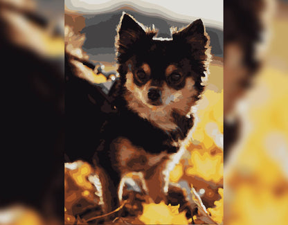 Malen nach Zahlen digital, Hund, Chihuahua
