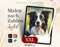 Kostenlos: Der Blick des Border Collie