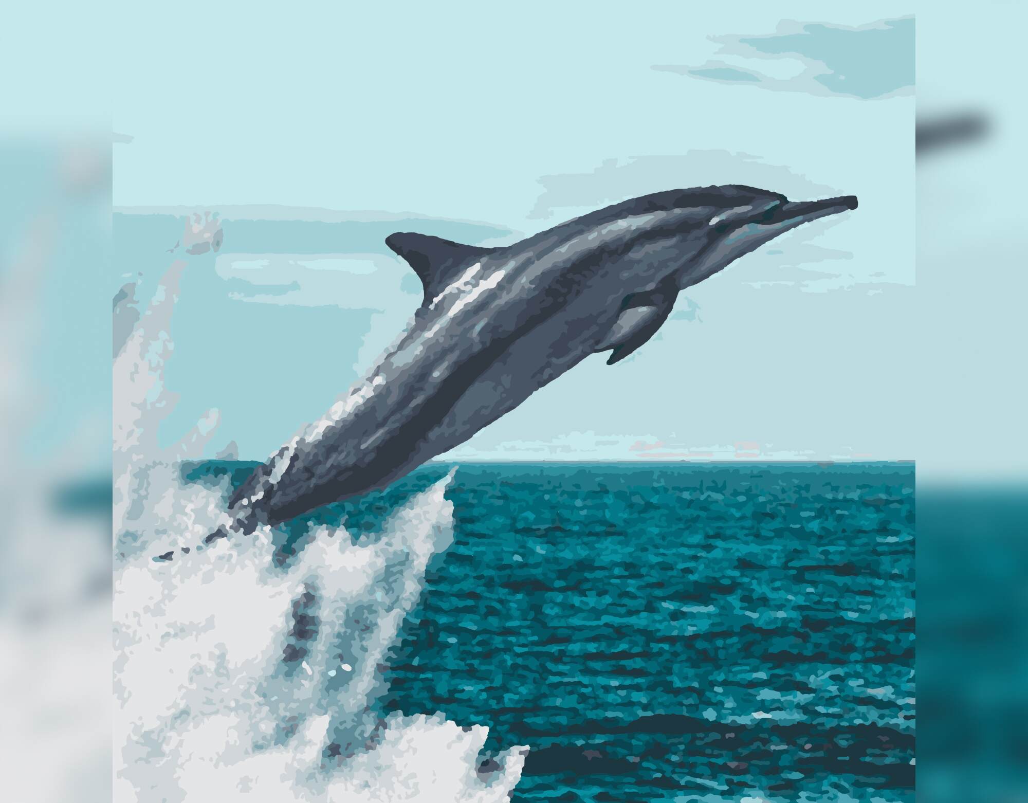 Dolphin Dance Delight
