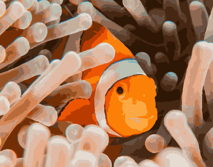Painting by numbers digital, animals, fish