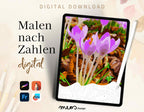 Flowers, Crocus