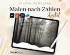 Licht und Schatten im Wald