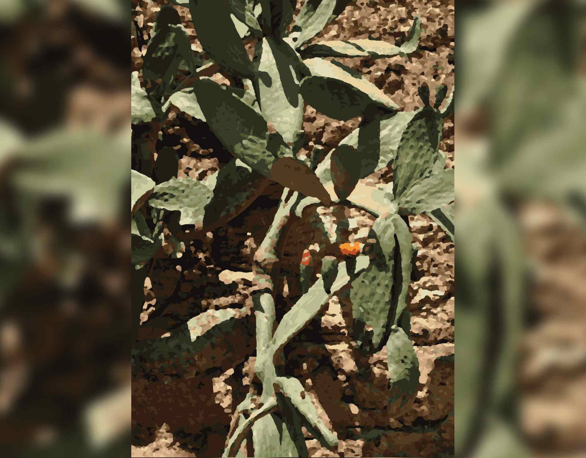 Desert Plant - Green Zen