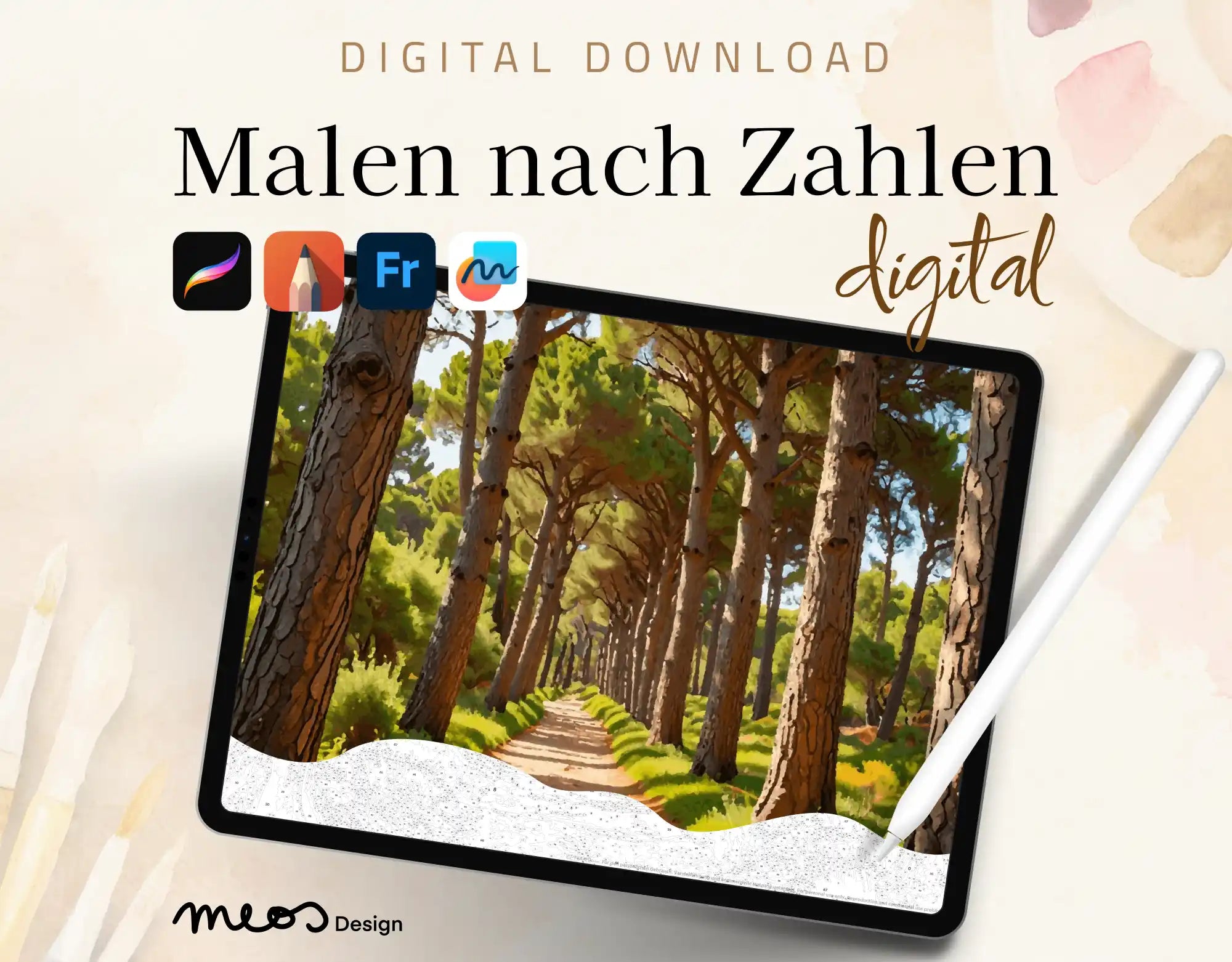 Ein Waldspaziergang im Licht