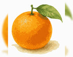 The Life of an Orange