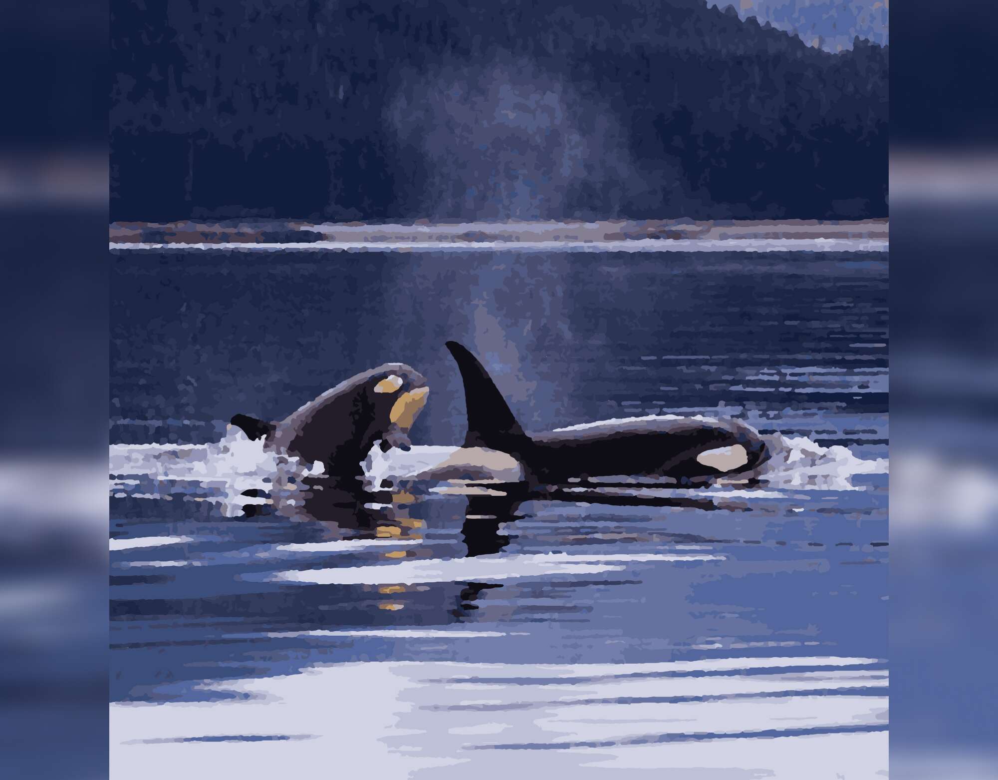 Orca-Traum im Ozean