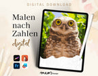 Owl’s Gaze in Daylight