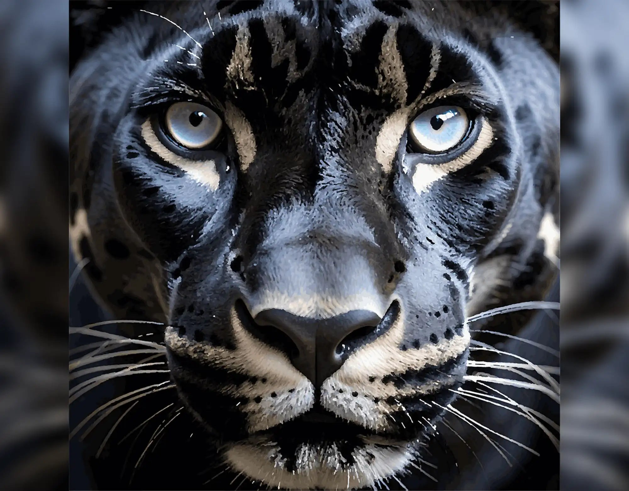 When the Panther Looks Back