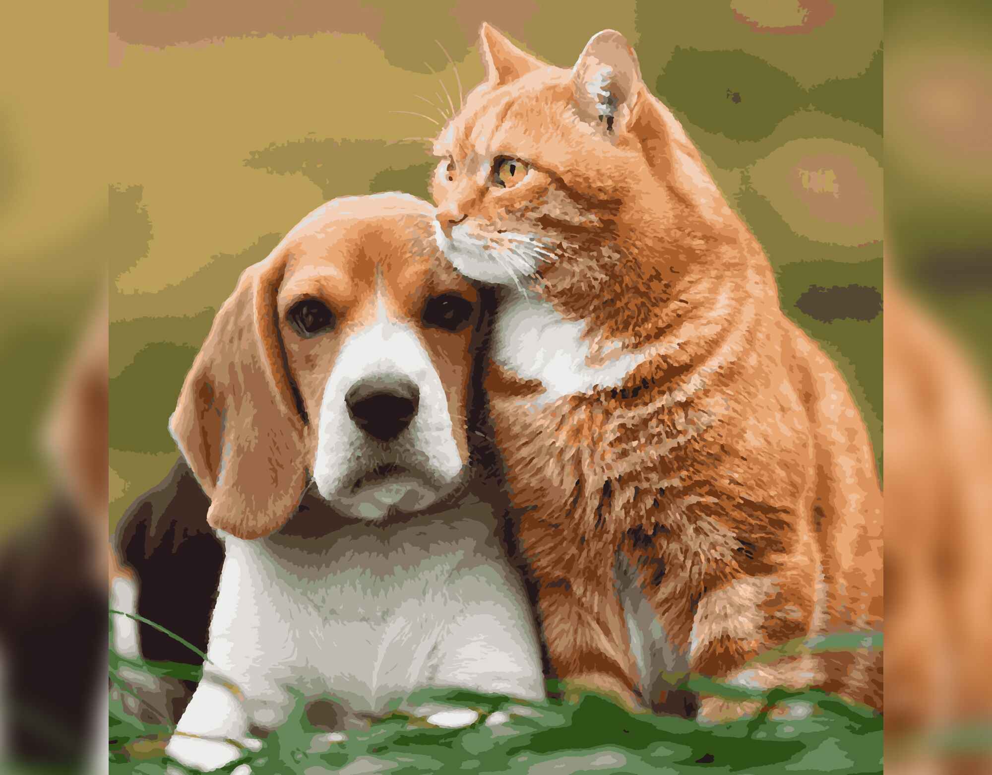 Animal Companionship