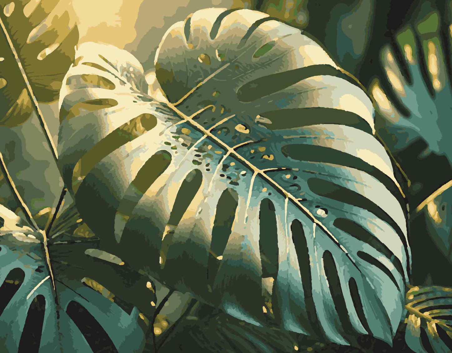 Monstera Blatt, Pflanze