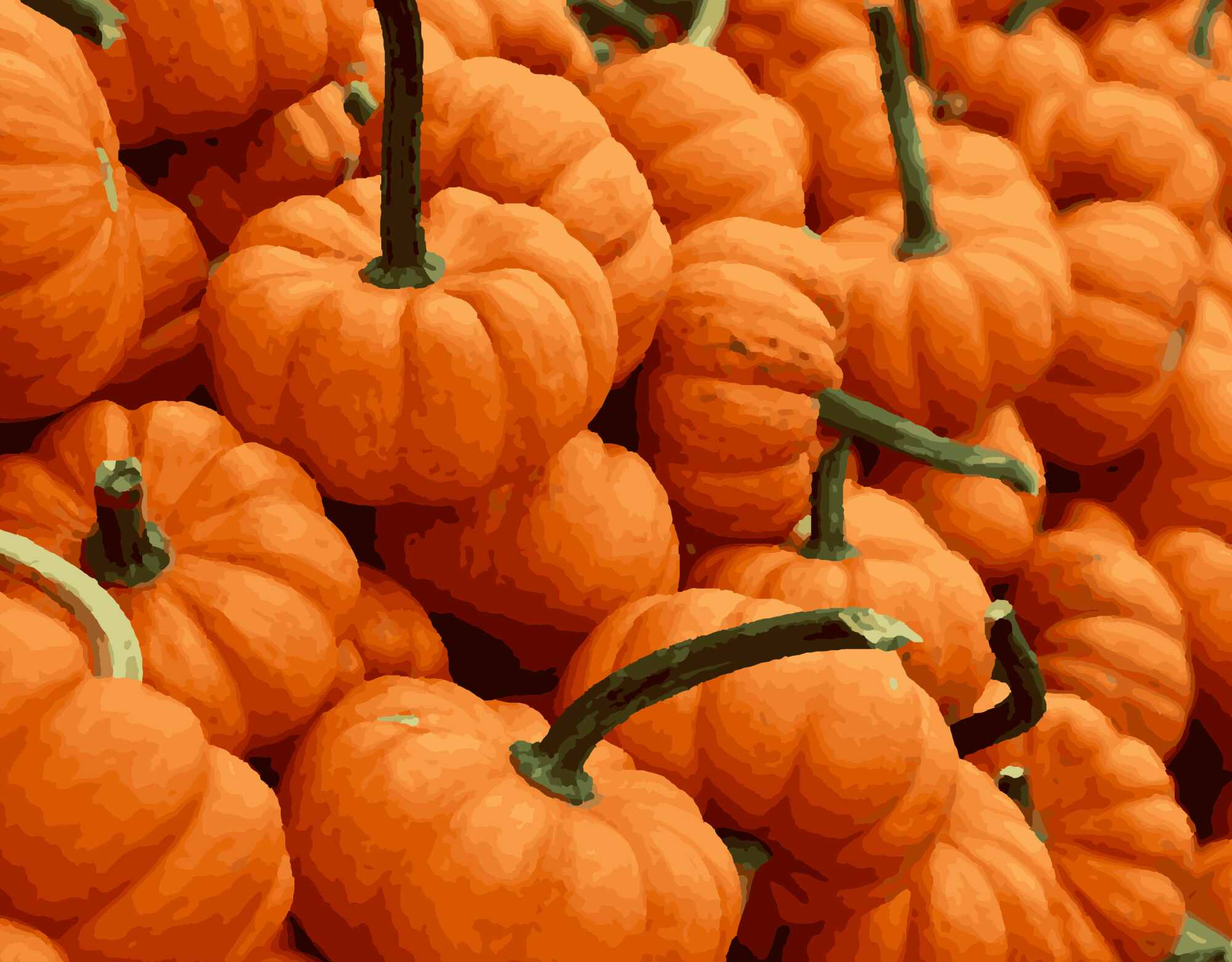 Glowing Pumpkin Serenity