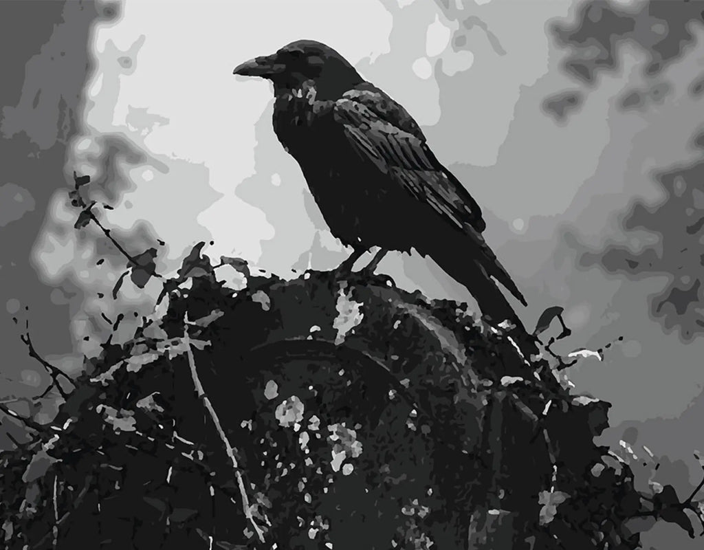Whisper of the Raven
