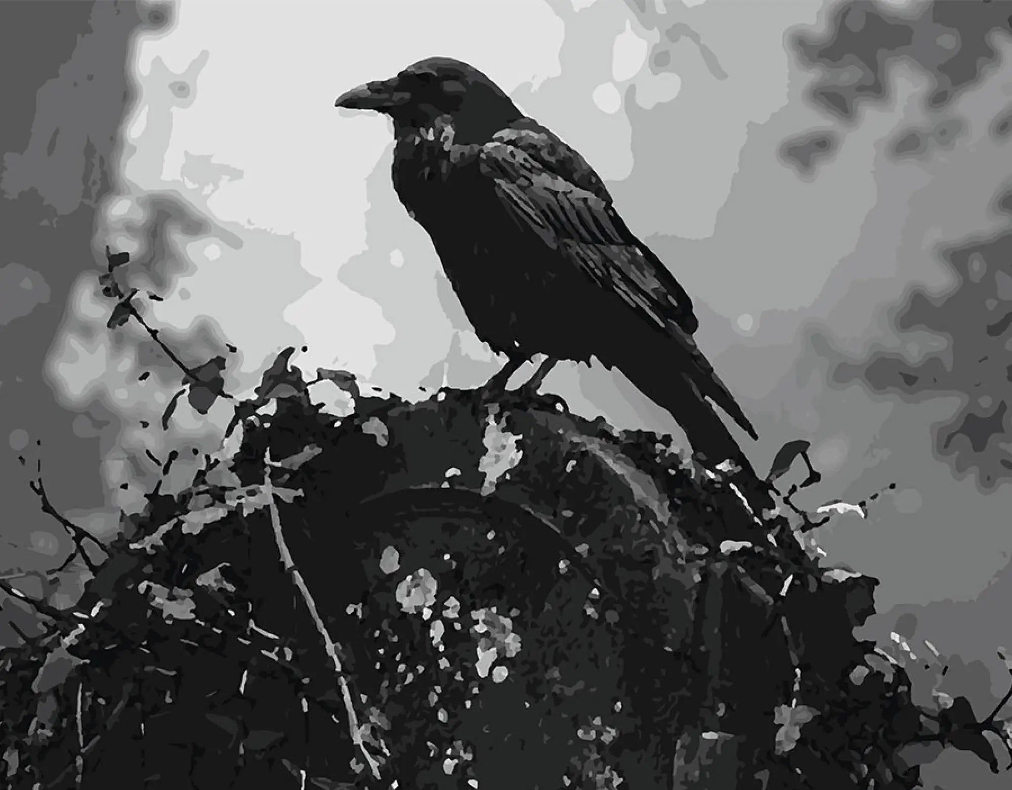 Whisper of the Raven