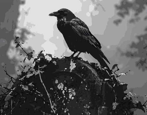 Wenn der Rabe wacht