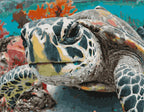 Die Schildkröte im Korallenriff