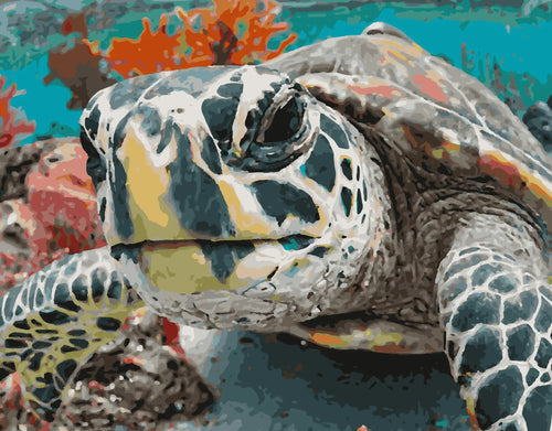 Die Schildkröte im Korallenriff