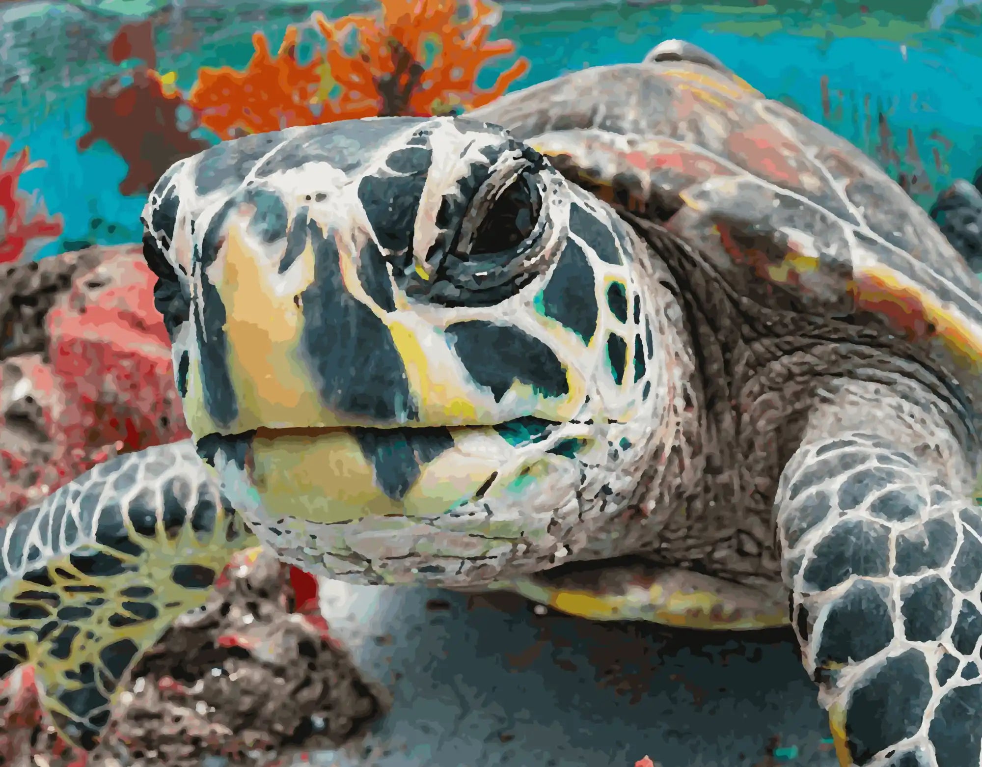 Die Schildkröte im Korallenriff