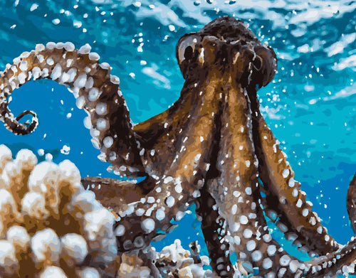 Oktopus zwischen Korallen und Licht