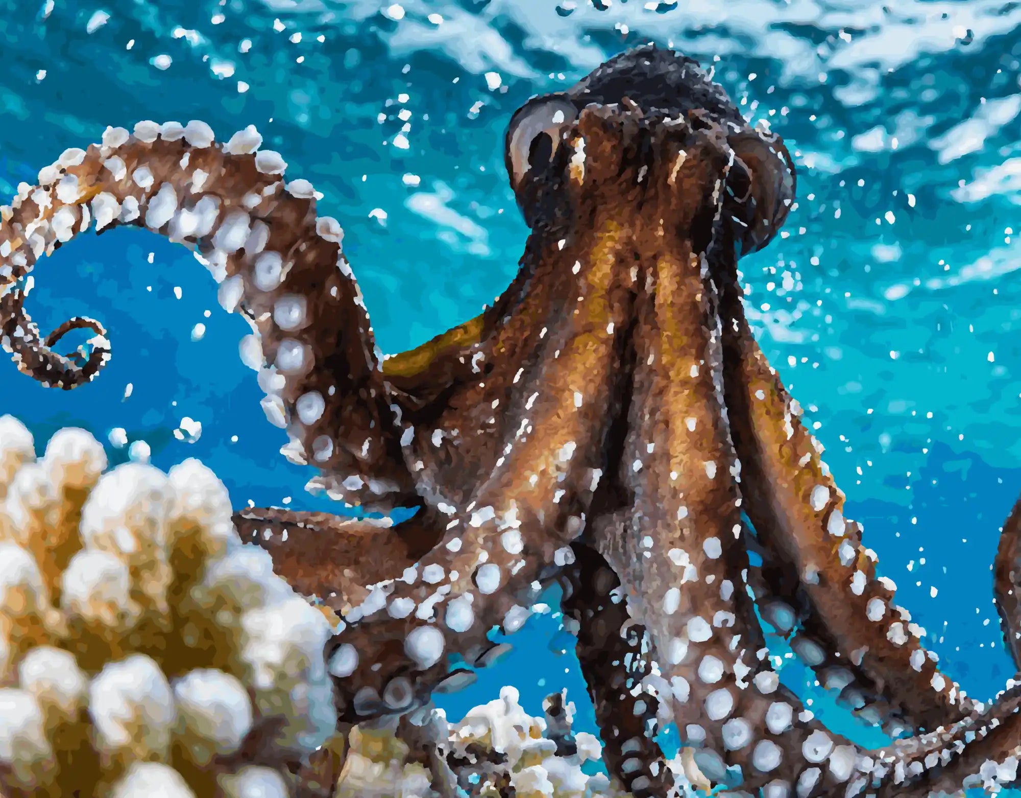 Oktopus zwischen Korallen und Licht