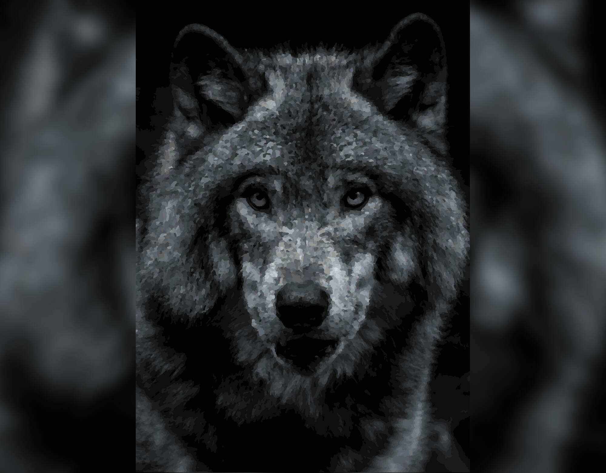 Wolf - Guardian of the Forest