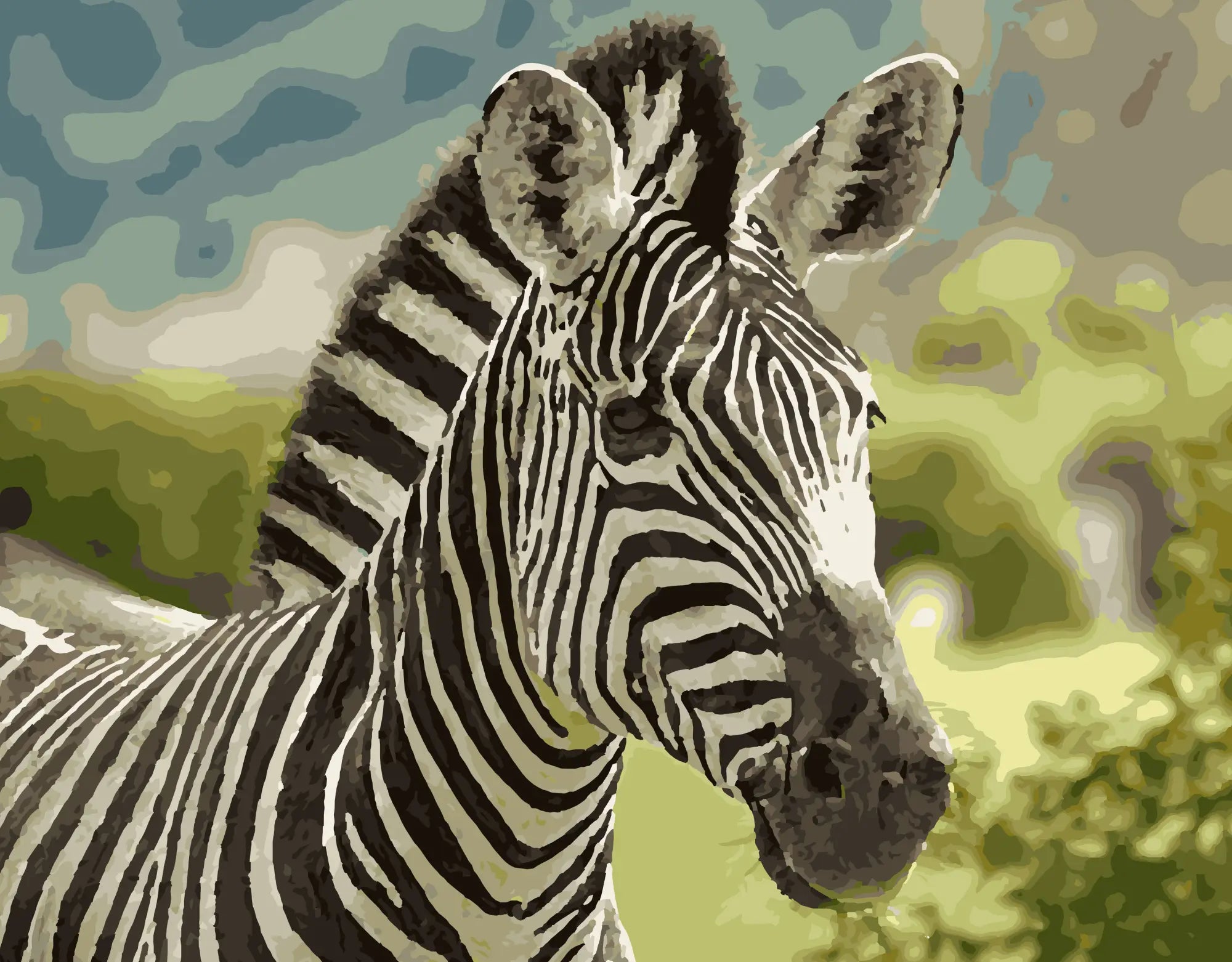 A Zebra in the Morning Light